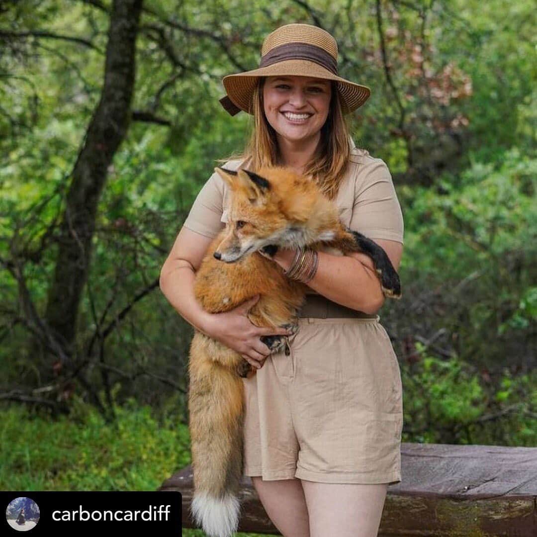 Rylaiさんのインスタグラム写真 - (RylaiInstagram)「Safari Danni!!! I absolutely adore when we do these Photoshoots and regular animal loving people want to have their photos with our Ambassadors!! Of course, Danni is no stranger to us or the foxes!! She came for an Encounter and has become our education specialist!! Her knowledge and skills are adding so much to our center in ways that will truly impact how we are able to help others, teach others, and change attitudes towards canids!!! We are so happy to have her part of our Canid pack!!! . Next photoshoot is booked up, but We will be scheduling more Photoshoots with @anabeldflux in late summer!! Stay tuned!! . Photos by @anabeldflux  Featuring @carboncardiff  Foxes: Viktor, Maksa and Mikhail!! . #photoshoots #ambassadors #foxes #photowithafox #canidcrusader #canidpack #education #lovinganimals #foxesofinstagram #sandiegogram #sandiegolife #sandiego #connectingwithwildlife」5月28日 10時25分 - jabcecc
