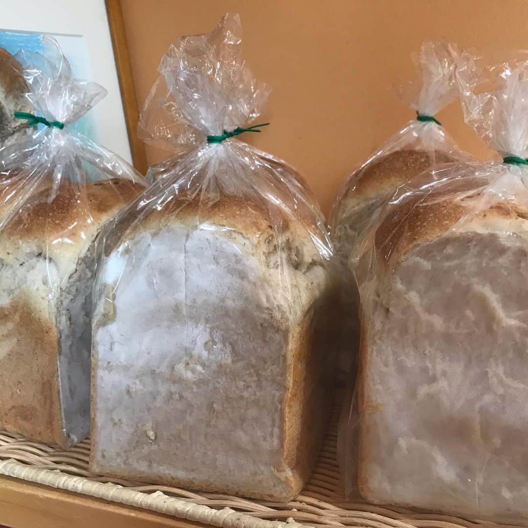 魔女菅原のグルメインスタ