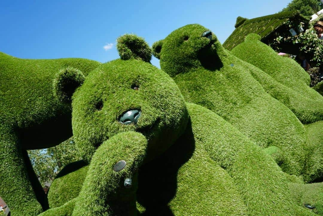 さんのインスタグラム写真 - (Instagram)「#we #irritating #we #green #da #ba #dee #da #ba #da #in #love #w #the #grass #shape #of #u」5月28日 10時32分 - my_mandem_r_my_fandom