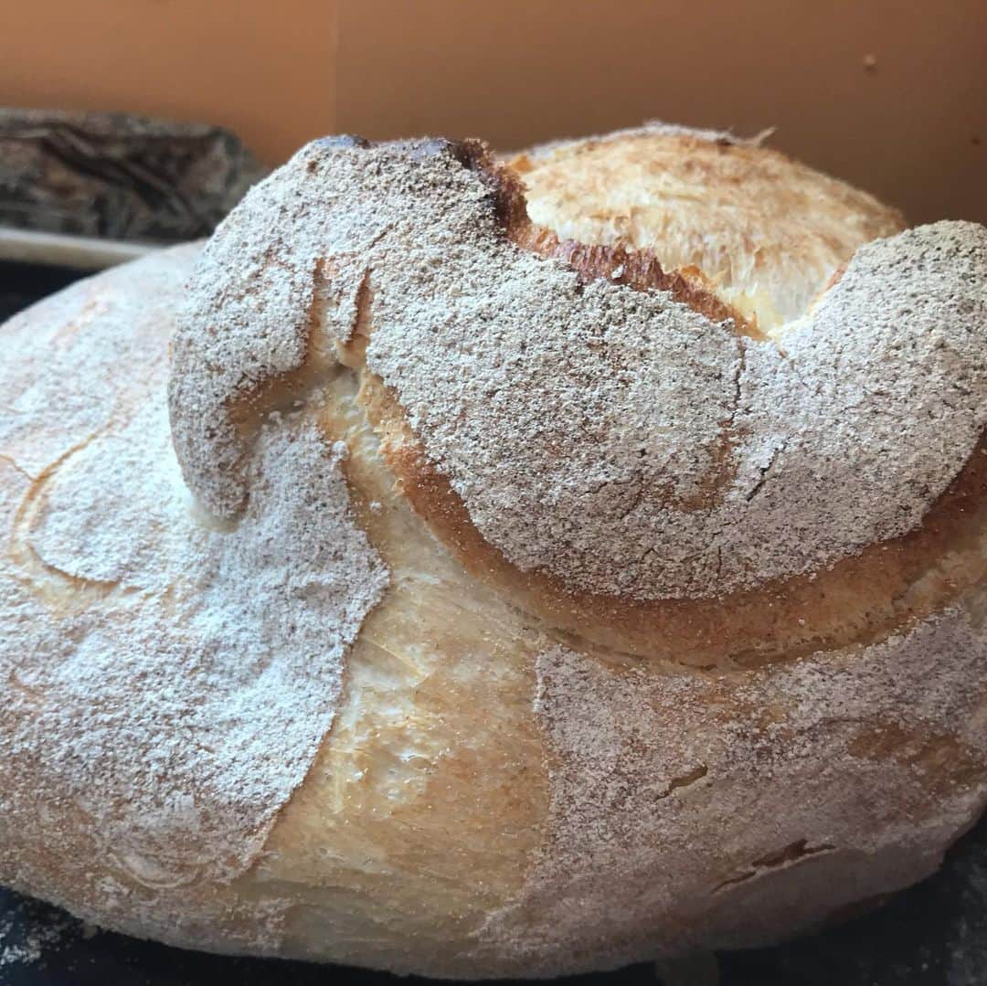 魔女菅原のグルメインスタ