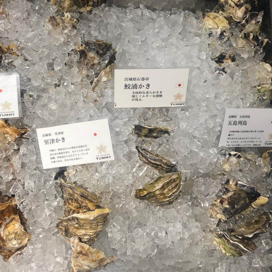 大井智保子さんのインスタグラム写真 - (大井智保子Instagram)「野球がおやすみの月曜日😄 おいしいものを食べるしかなーい‼️と、牡蠣好きみなみちゃんと、さいたまへ少し遠征してきました✨ . 生牡蠣が食べたくて、日本中の牡蠣が揃う大宮のオイスターバー YUMMY ( @tob_yummy ) へ🥂 . お店に入った瞬間見入っちゃう、氷の上の牡蠣たち…❄️❄️ . 生牡蠣… 広田湾L(岩手)、五島列島(長崎) 、仙鳳趾(北海道)  焼き牡蠣… 室津かき(兵庫)  創作焼き牡蠣…Napoli(トマト&チーズ焼)き、Aglio(香草パン粉焼き)  牡蠣だけで6種類もいただきました🤤 . そしてそして、お店のおすすめのローストビーフも🥩柔らかくて程よく脂がのっていて、とろけたよ🐮 . 最後はパスタ🍝黒毛和牛のボローニャポルチーニ仕立てを😍 . トリュフサラミとフレッシュパルメジャーノのサラダと自家製ピクルスもすんごくおいしかったです🥗 女子が好きな魅力的なメニューが多いし、おいしすぎて食べすぎたよー🤣 が、みなみちゃんはうらやましいことにいくら食べても太りません‼️笑 わたしはいつもより少し多く歩いて帰りました…🚶‍♀️ . あーおいしかった✨また埼玉県民誘って行こうと思います♪♪ 西武ライオンズファンの方々は、県営大宮球場で試合の後とかにもいいですね🦁 . . #theoysterbaryummy #生牡蠣 #牡蠣 #オイスター #オイスターバー #大宮オイスターバー#さいたまオイスターバー #ぐるなび #さいたまレストラン #大宮レストラン #さいたまイタリアン #大宮イタリアン #さいたまグルメ #大宮グルメ #gourmet #restaurant #oyster #oysterbar #fleshoyster #PR #Pasta #Italian #chihoko飯 #埼玉県 #さいたま #大宮 #大宮駅都会すぎ」5月28日 11時24分 - chihokoi