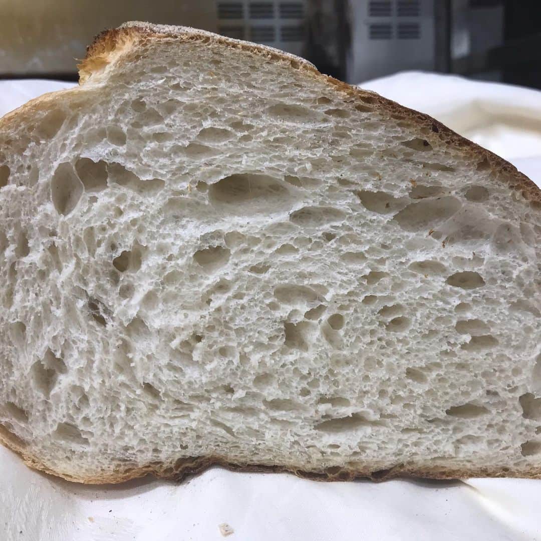 魔女菅原のグルメインスタ