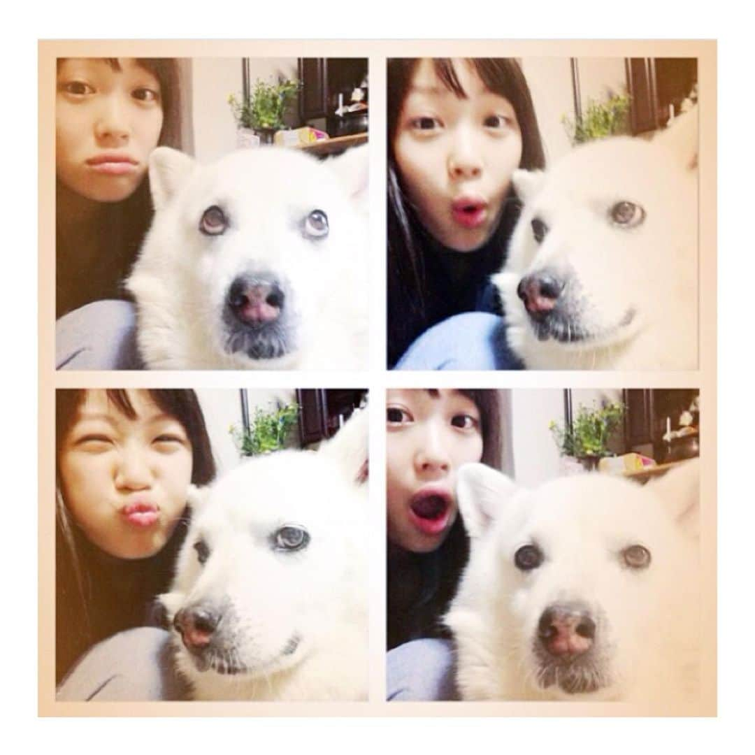 加村真美さんのインスタグラム写真 - (加村真美Instagram)「ロン誕生日おめでとう🐶！ 17歳👏🏻👏🏻👏🏻👏🏻👏🏻👏🏻！ 長生きしてね🐶💓💓💓！ .  #秘密結社老犬倶楽部  #犬すたぐらむ」5月28日 17時42分 - kamura_mami