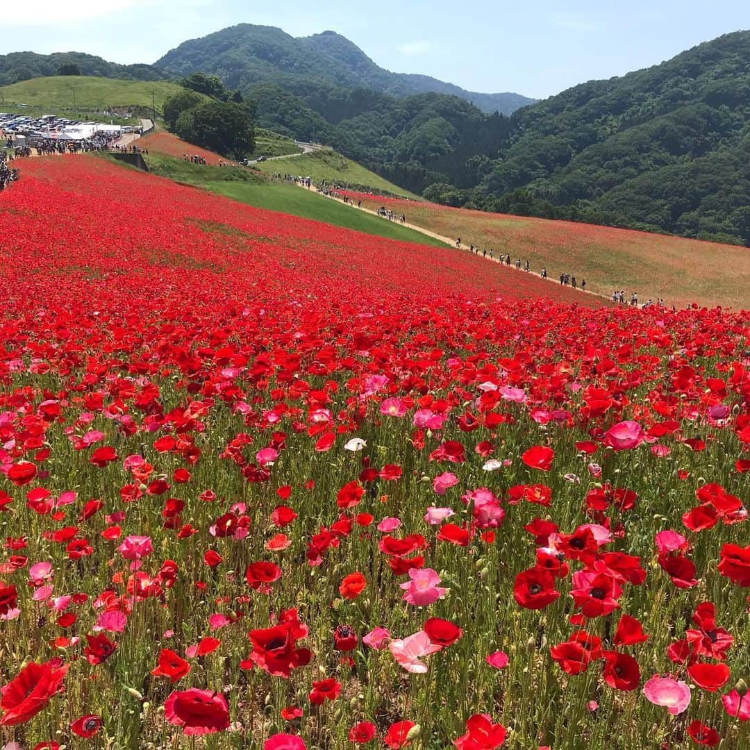 小谷あゆみのインスタグラム