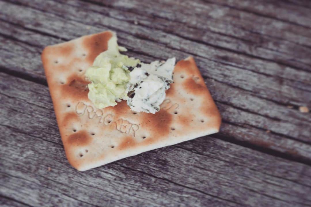 Wabi•Sabiのインスタグラム：「May bite on break. A cracker with two different types of dip. Matcha cream and Gyokuro tea sour cream. Tea leaves are a food, not only for drinking. . .」