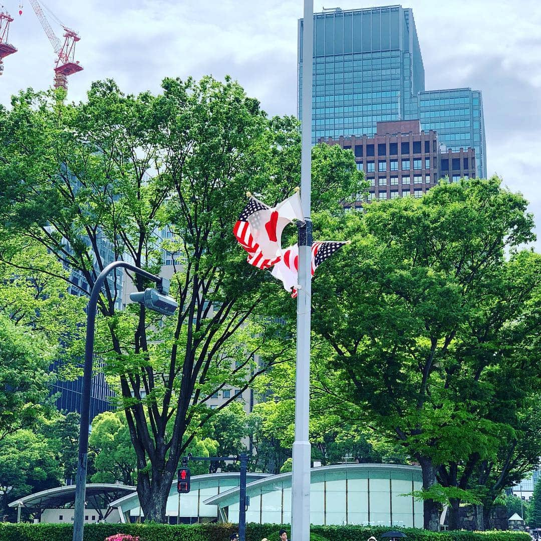 皇居ランナビのインスタグラム：「来日していたトランプ大統領も本日帰国。  朝からパレスホテル前は、沢山の人がいました。  13時過ぎに何事もなく帰国されたそうですね。  皇居ランナーの皆さま、いろいろご協力ありがとうございました😊  #皇居ランナビ #皇居ラン #ミズノで皇居ラン #ミズノで女子ラン #ランニング女子 #ランニング #ハシリマスタグラム #ランナ#皇居観光ランニング#workout #instagood #run #jog #fitness #tokyo #imperialpalace #japan #走るひと #走る人 #followme #おもてなし #おもてなしランナー #running #runningday #jogging #marathontraining」