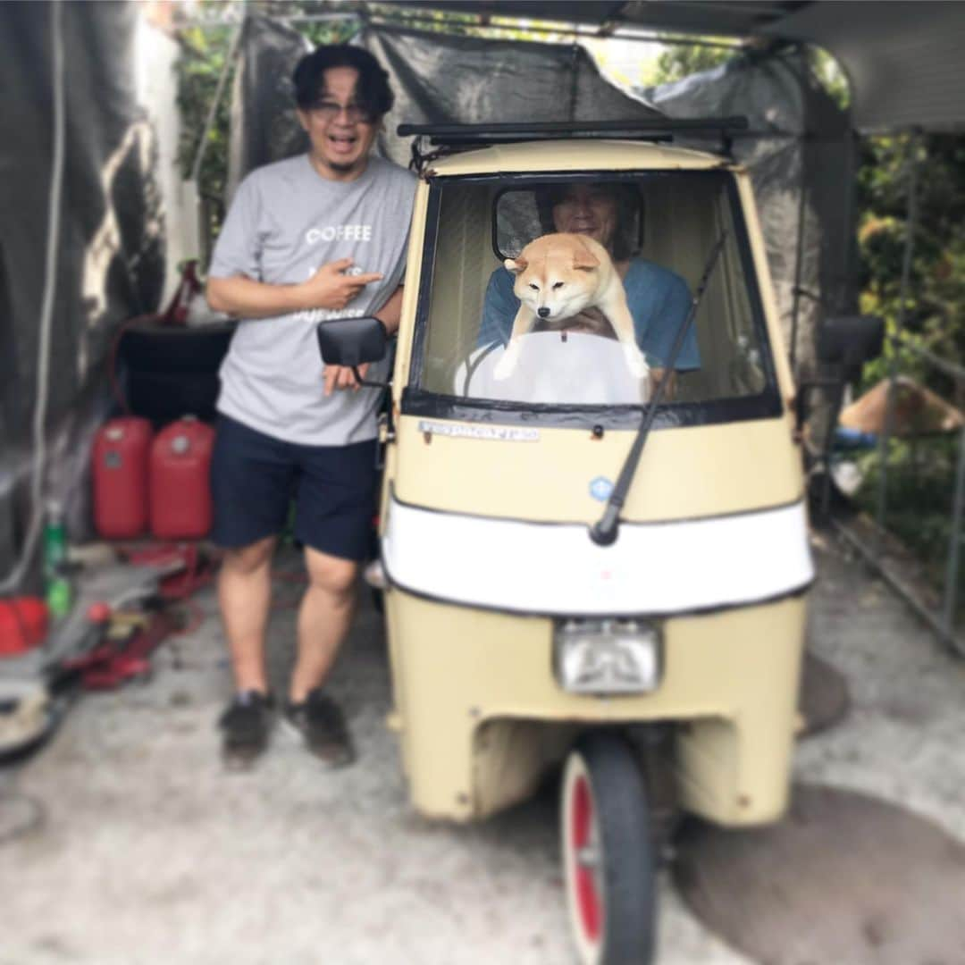 マル子さんのインスタグラム写真 - (マル子Instagram)「楽しかった1泊2日🚐 #マル子  #柴犬  #shiba  #みっくす  #麺屋さすけ  #パードン木村  #poetmeetsdubwise  #私のインスタには写ってても大丈夫だよねw」5月28日 13時59分 - tomikago