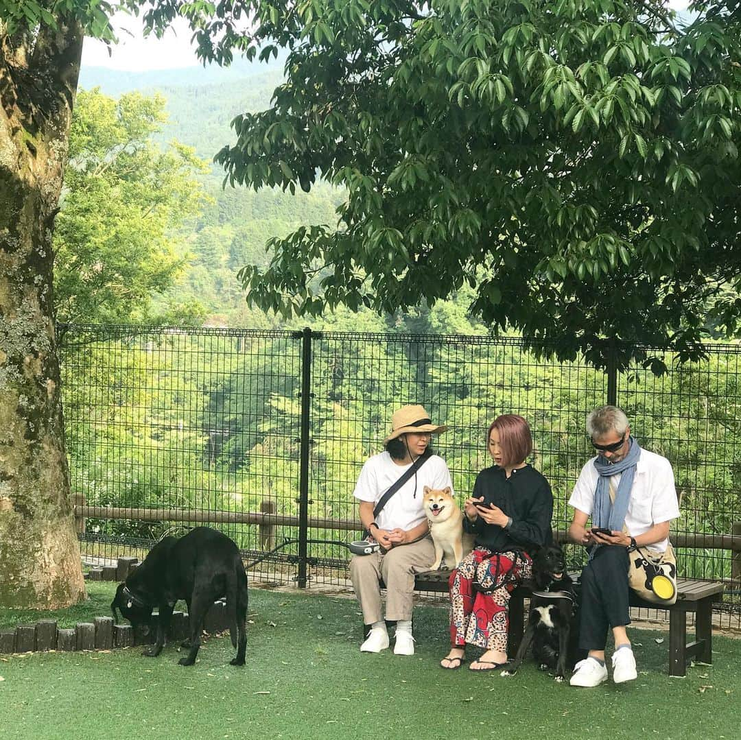 マル子さんのインスタグラム写真 - (マル子Instagram)「楽しかった1泊2日🚐 #マル子  #柴犬  #shiba  #みっくす  #麺屋さすけ  #パードン木村  #poetmeetsdubwise  #私のインスタには写ってても大丈夫だよねw」5月28日 13時59分 - tomikago