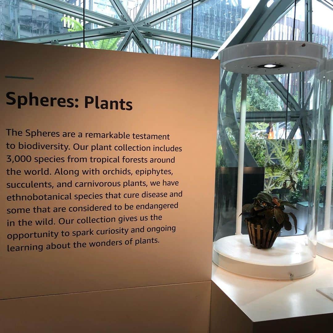 中岡由佳さんのインスタグラム写真 - (中岡由佳Instagram)「アマゾン・ドット・コム社屋に誕生した植物園スフィア。世界各地から取り寄せた4万本もの植物が植えられているそう。植物園について解説した展示室のアンダーストーリーを見学。その後、スタバでひと休み。 #amazonthespheres #starbucks #seattle」5月28日 14時58分 - yuka_nakaoka