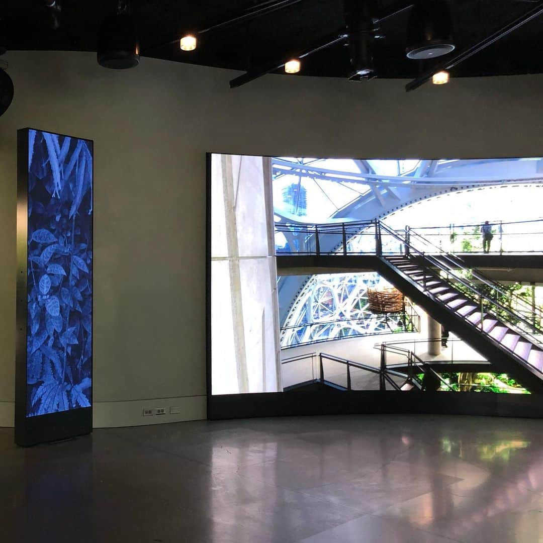 中岡由佳さんのインスタグラム写真 - (中岡由佳Instagram)「アマゾン・ドット・コム社屋に誕生した植物園スフィア。世界各地から取り寄せた4万本もの植物が植えられているそう。植物園について解説した展示室のアンダーストーリーを見学。その後、スタバでひと休み。 #amazonthespheres #starbucks #seattle」5月28日 14時58分 - yuka_nakaoka