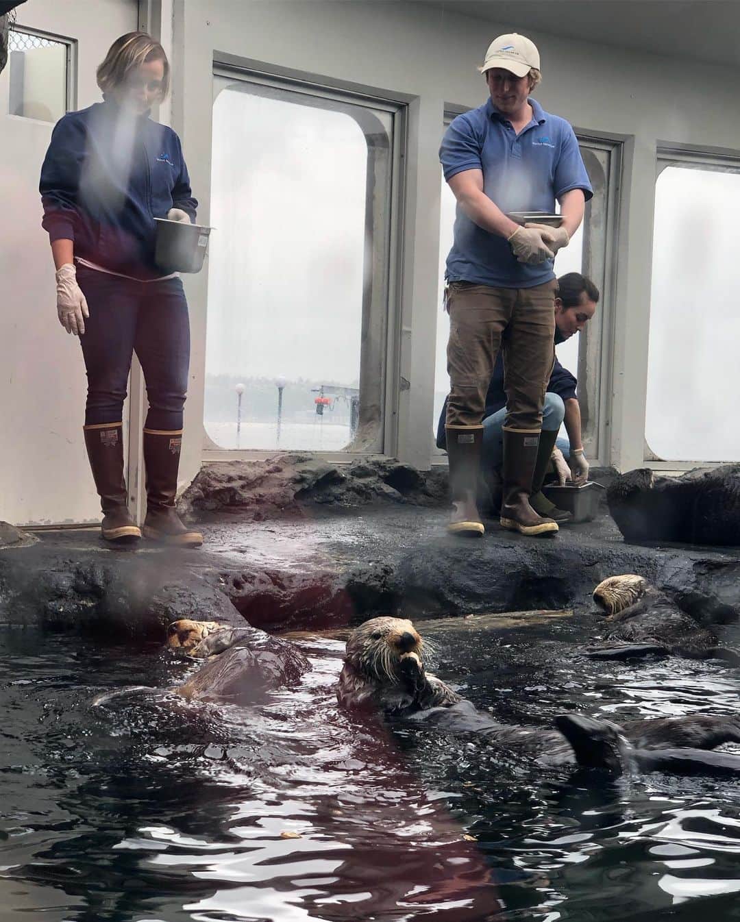 中岡由佳さんのインスタグラム写真 - (中岡由佳Instagram)「シアトル4日目は雨で肌寒い。スペースニードル〜シアトル水族館へ。ここではラッコに会える。貝を石に叩きつけて食べる見られて楽しめた！ #spaceneedle #seattleaquarium」5月28日 14時52分 - yuka_nakaoka
