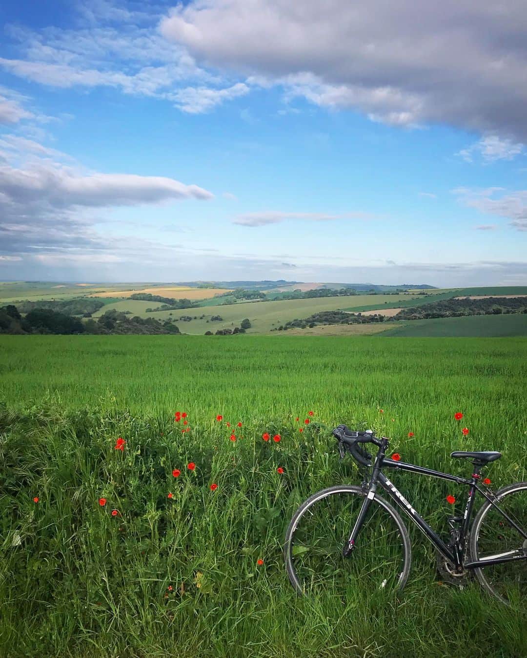 Tea and sittingのインスタグラム：「🌿🚲...♥️ #parkedbikesoftheworld #5ftinfbike」