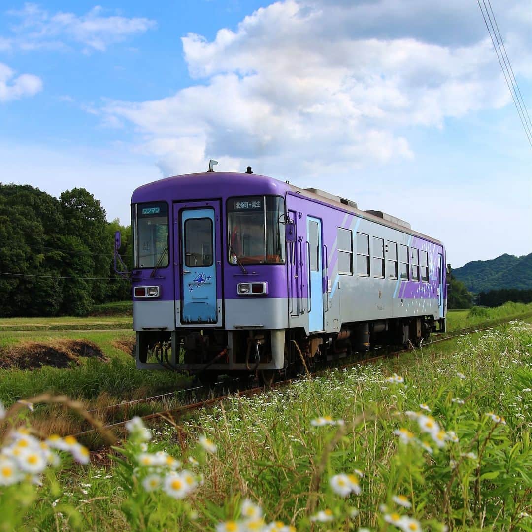 kazutakahamazatoのインスタグラム：「一昨年の今頃の、北条鉄道です。 ネットでこの電車をみつけて探しに行きました。これも出逢い✨ #hair equal #三国美容室 #三国 #キッズルーム #子連れでいける  #hair#hairstyle #スタッフ募集 #縮毛矯正が得意  #コタ #COTA #ヘアケア #駅ちか #美容室 #美容室求人 #美容師募集 #スタイリスト募集 #アシスタント募集 #メンズ  #メンズヘア #ボブ #子供カット #トリートメント  #トキオトリートメント #酸性ストレート  #酸性デジタルパーマ #ヘアドネーション #写真好きな人と繋がりたい」