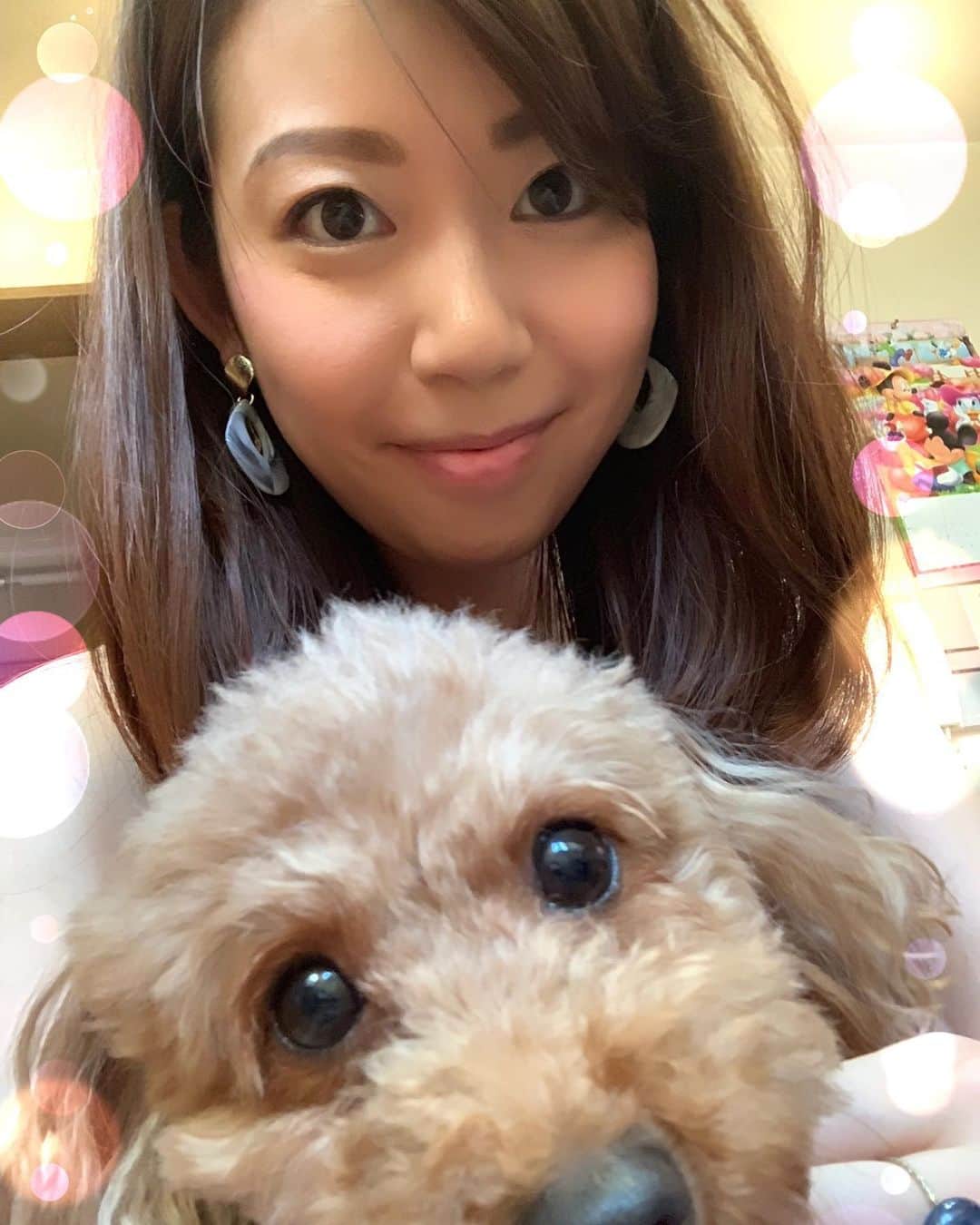 須黒清華のインスタグラム：「部屋が散らかっていて恥ずかしいのですが… あまりに可愛かったので😍💕 ボーロ食べて美味しかった〜♡の写真💕 急に暑くなって、わんちゃんズたちにとっても体が慣れるまで大変そう💦 くるみさんも、口が半開きになってました（笑） #くるみ #愛犬 #トイプードル #トイプー #保護犬」