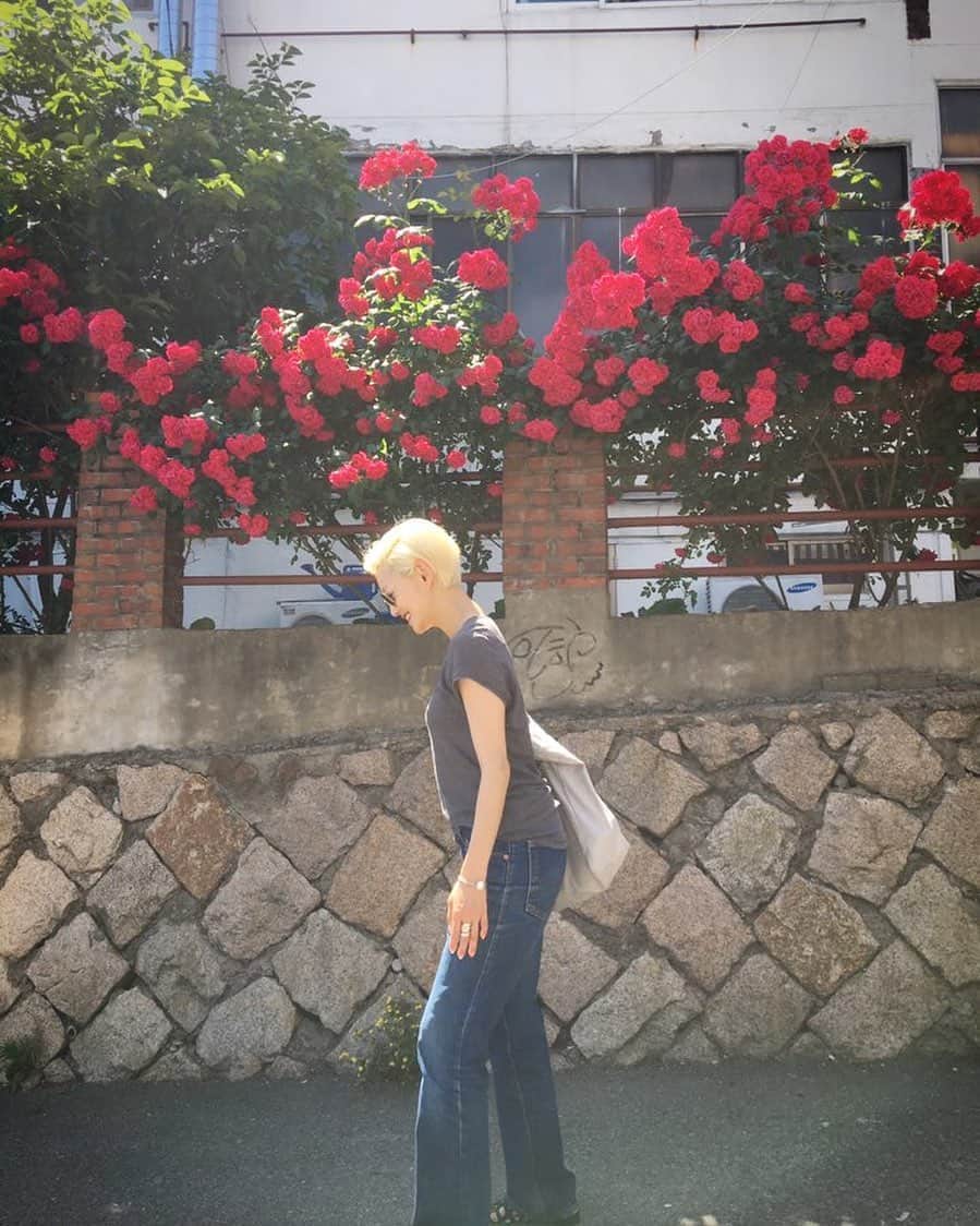 イ・エルのインスタグラム：「_ 🌹」