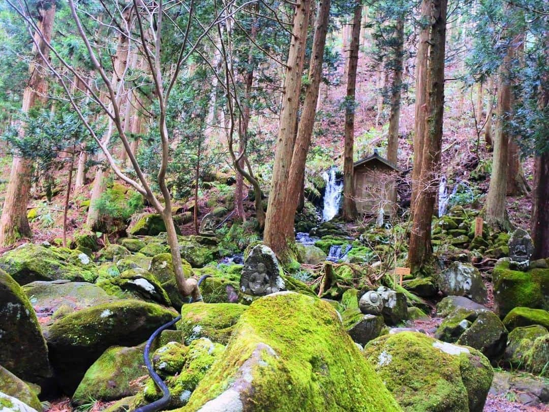 早瀬あやさんのインスタグラム写真 - (早瀬あやInstagram)「老後住みたい町ランキングどう考えても遊佐が一位だと思うけどなぁ🥺  #山形県#庄内#遊佐町#鳥海山#洗沢川#丸池様#ケンちゃんラーメン」5月14日 7時21分 - hayase_aya