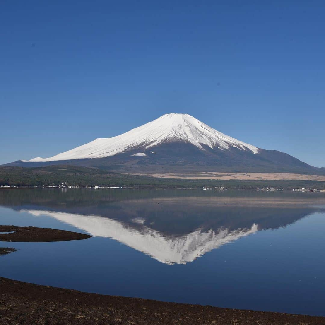 がんちゃんさんのインスタグラム写真 - (がんちゃんInstagram)「#てんタッキー富士山の旅  2019年5月8日 明け方の気温が氷点下まで下がったこの日、空気が澄んで富士山がくっきり😍 宿での人間の朝ご飯の前に、富士山をバックに犬の朝ご飯♪なんて贅沢な景色💕  #糸目ーズ #山中湖交流プラザきらら」5月14日 7時40分 - kota2ann