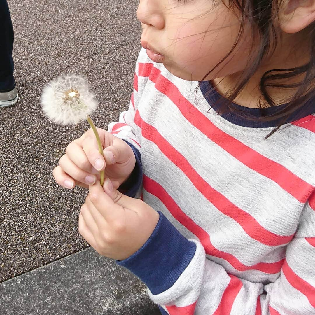 安田さちさんのインスタグラム写真 - (安田さちInstagram)「うちの次女。  実は4月に入学してから、お腹が痛いとか気持ちが悪いとか色々あり毎日保健室でした。  家に帰ってくる時には普通に元気なんです💦  頼もしいタイプだと思っていましたが、真面目な性格が不安を招き、戸惑っていたみたいで😖  ここ数日、ようやく保健室に行かずに1日過ごせるようになりました！  新しい環境で新しい一面を知り、もっときちんと向き合ってあげないとなぁと反省です。  #新1年生 #1年生の悩み #頑張れ1年生 #真面目な次女  #我が家で唯一几帳面」5月14日 8時24分 - sachi.yasuda31