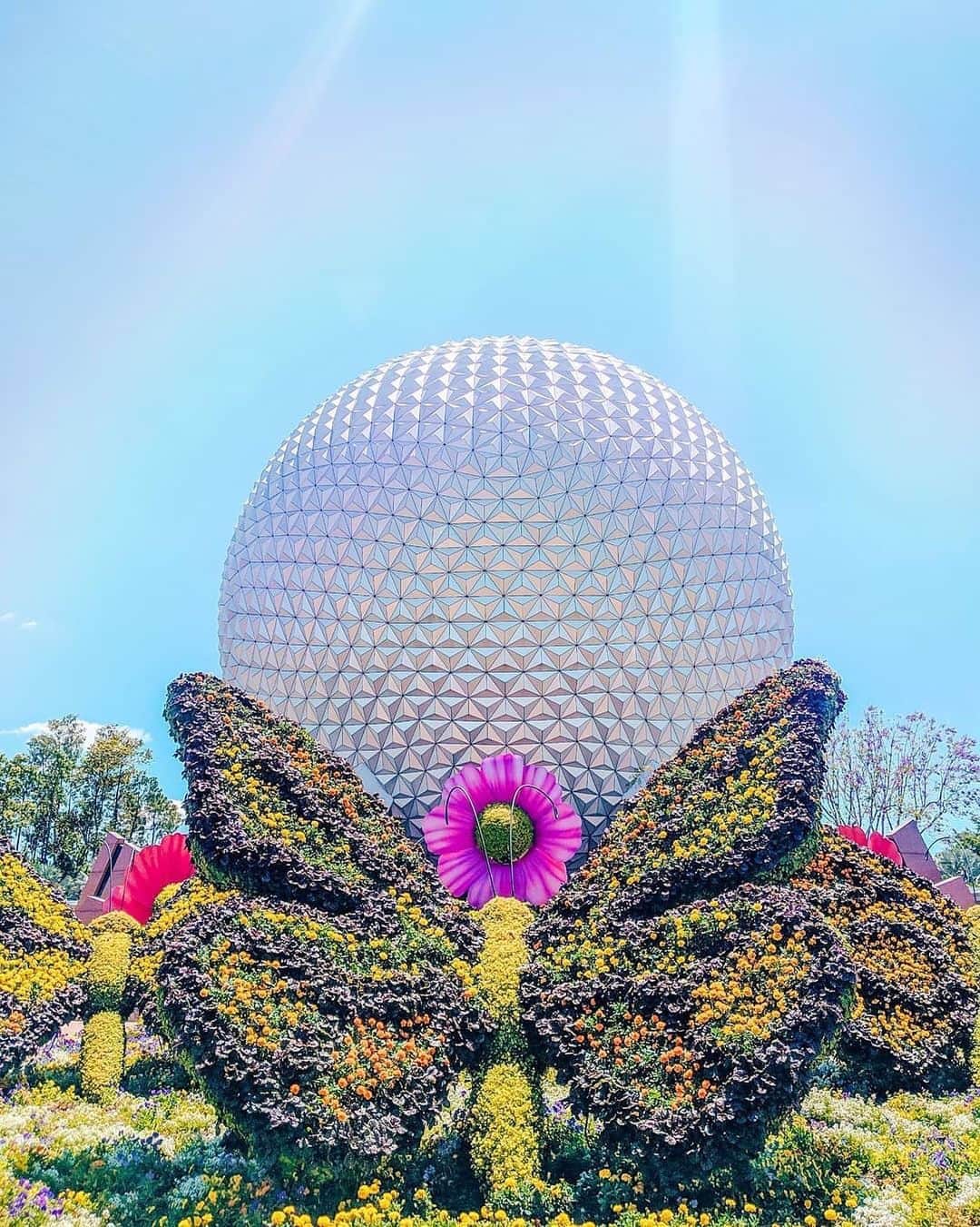 Walt Disney Worldのインスタグラム：「Full bloom in the golden afternoon!🎶🌸🦋 #FreshEpcot #WaltDisneyWorld(📷: @heighhohello)」
