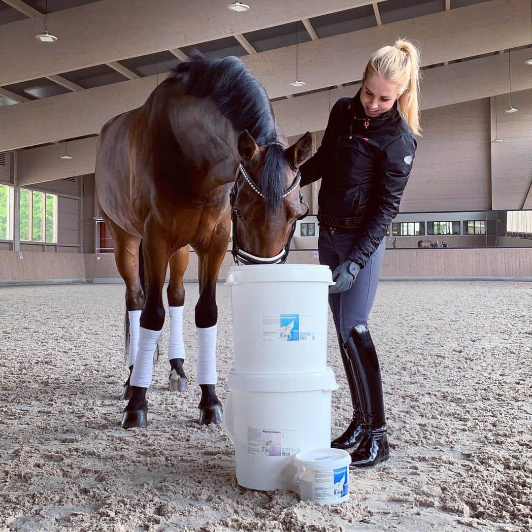 Nina Neuerのインスタグラム：「Wir bedanken uns für die tolle Zusammenarbeit mit @iwest_tierernaehrung 💕 @charlotte_rummenigge und meine Pferde sind alle super in Schuss, da wir auf jedes individuell eingehen können -dank Euer vielseitigen Produkte! Dari ist auch begeistert 🥰 #werbung」