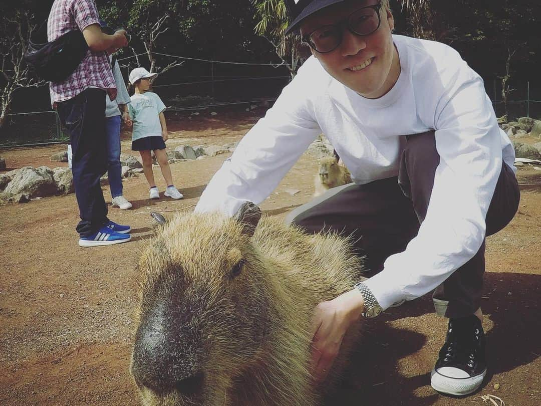 石川龍さんのインスタグラム写真 - (石川龍Instagram)「キリンも、カピバラも、ミーアキャットも、ヒトも。 とても距離の近い動物園。  #キリン #カピバラ #ミーアキャット #giraffe  #capybara #meerkat #アニマルキングダム  #伊豆 #izu #ホモサピエンス #homosapiens」5月13日 23時52分 - slow_night