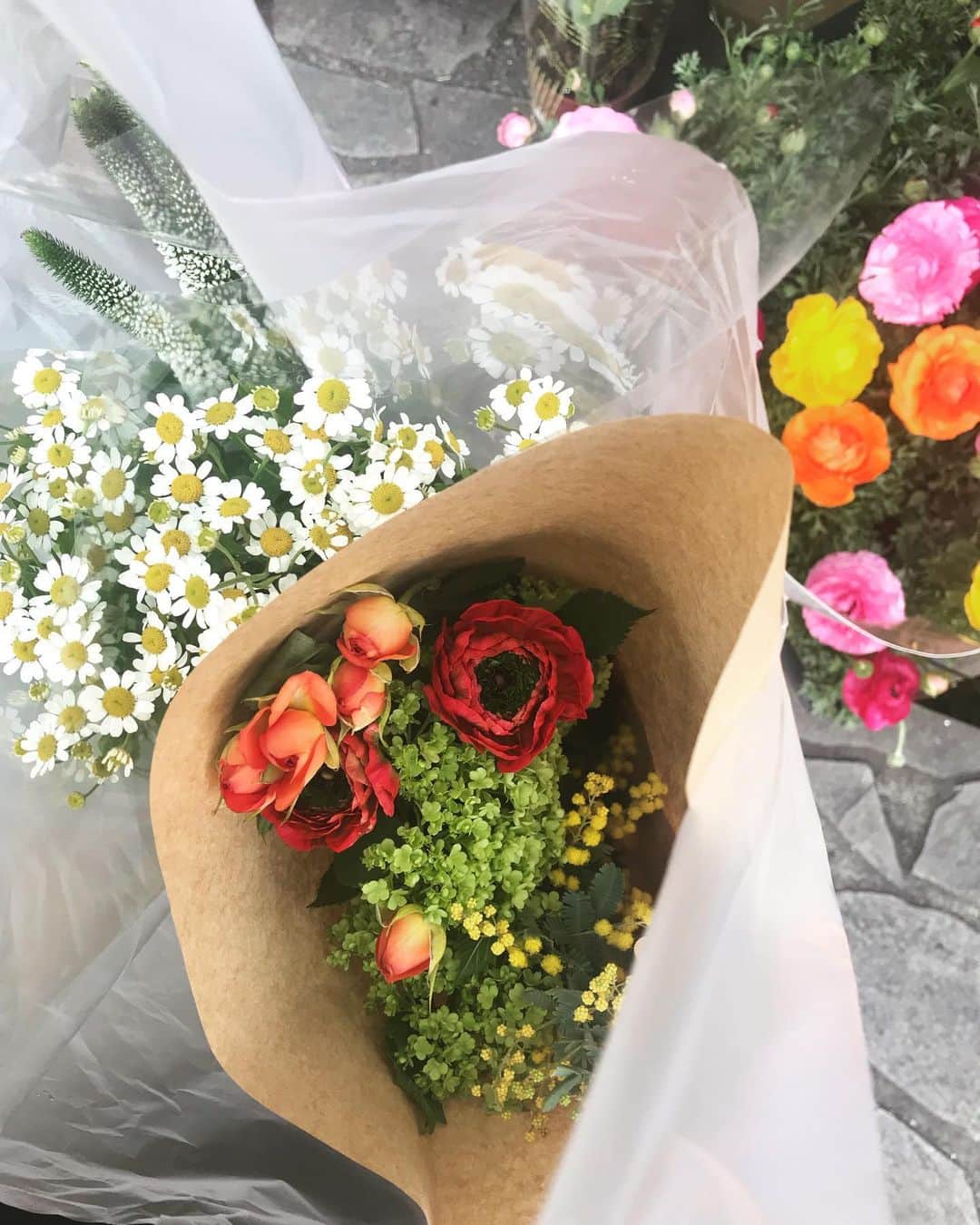 坂詰美紗子さんのインスタグラム写真 - (坂詰美紗子Instagram)「だからmelodyにする。melodyちゃん、いらっしゃーい。 ・ ・ ・ #music #songwriter #lovesong #flowers #お花」5月14日 1時29分 - misako_sakazume