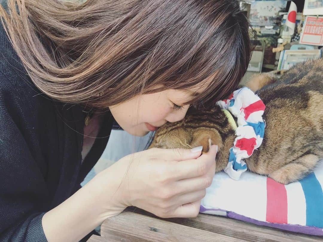 坂本美雨さんのインスタグラム写真 - (坂本美雨Instagram)「商店街のスター、クッキーちゃんとおしゃれなおかあさん、かわいかったな。 クッキーちゃん、およそ18歳だそう。数年前に体調を崩したけど持ち直して前より艶々になったそう。 長崎の猫たちはみんな尾曲がり猫って初めて知ったのでした。オランダに由来するそうだけど、貿易の歴史が今の猫にもこうして受け継がれているんだって、ぞくぞくするよねぇ。」5月14日 1時31分 - miu_sakamoto