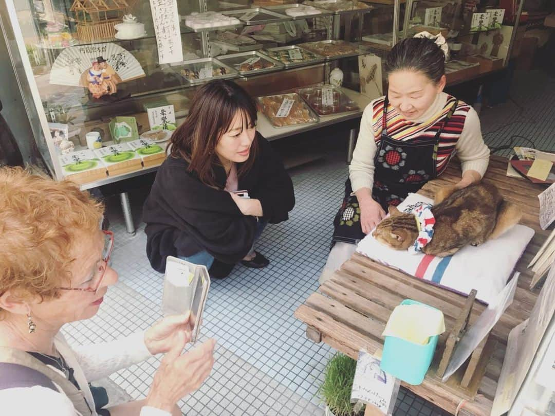 坂本美雨さんのインスタグラム写真 - (坂本美雨Instagram)「商店街のスター、クッキーちゃんとおしゃれなおかあさん、かわいかったな。 クッキーちゃん、およそ18歳だそう。数年前に体調を崩したけど持ち直して前より艶々になったそう。 長崎の猫たちはみんな尾曲がり猫って初めて知ったのでした。オランダに由来するそうだけど、貿易の歴史が今の猫にもこうして受け継がれているんだって、ぞくぞくするよねぇ。」5月14日 1時31分 - miu_sakamoto