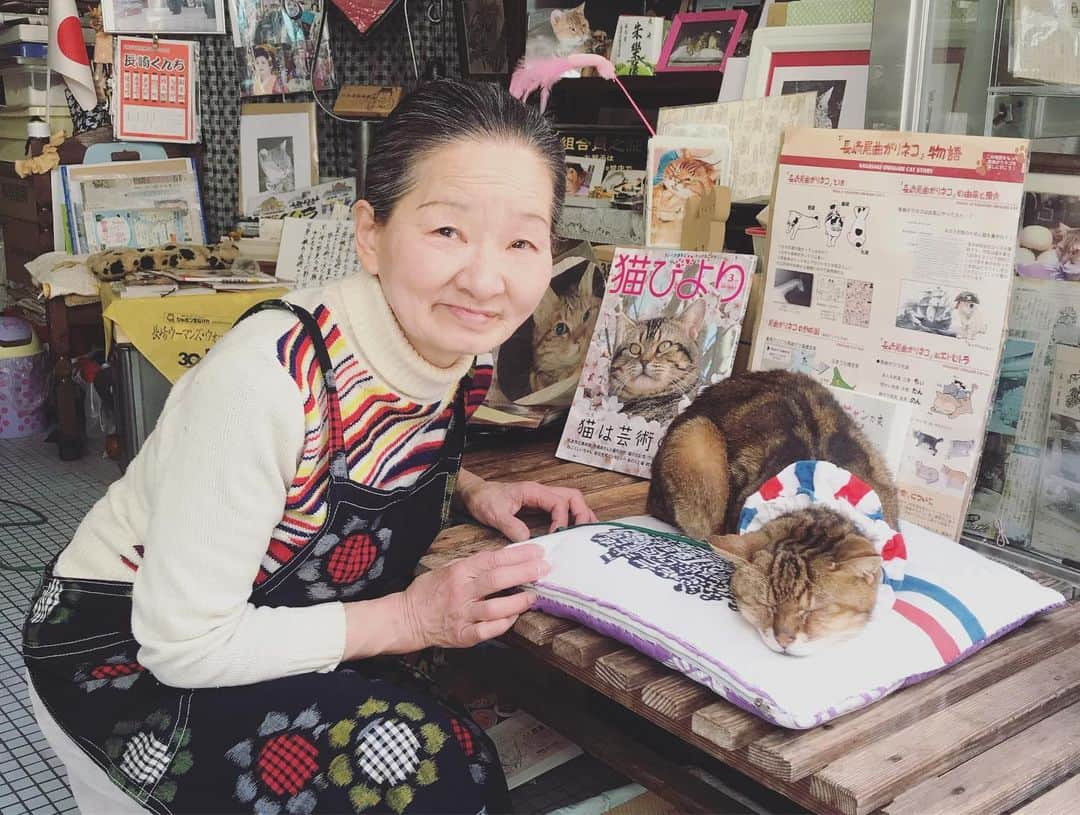 坂本美雨さんのインスタグラム写真 - (坂本美雨Instagram)「商店街のスター、クッキーちゃんとおしゃれなおかあさん、かわいかったな。 クッキーちゃん、およそ18歳だそう。数年前に体調を崩したけど持ち直して前より艶々になったそう。 長崎の猫たちはみんな尾曲がり猫って初めて知ったのでした。オランダに由来するそうだけど、貿易の歴史が今の猫にもこうして受け継がれているんだって、ぞくぞくするよねぇ。」5月14日 1時31分 - miu_sakamoto