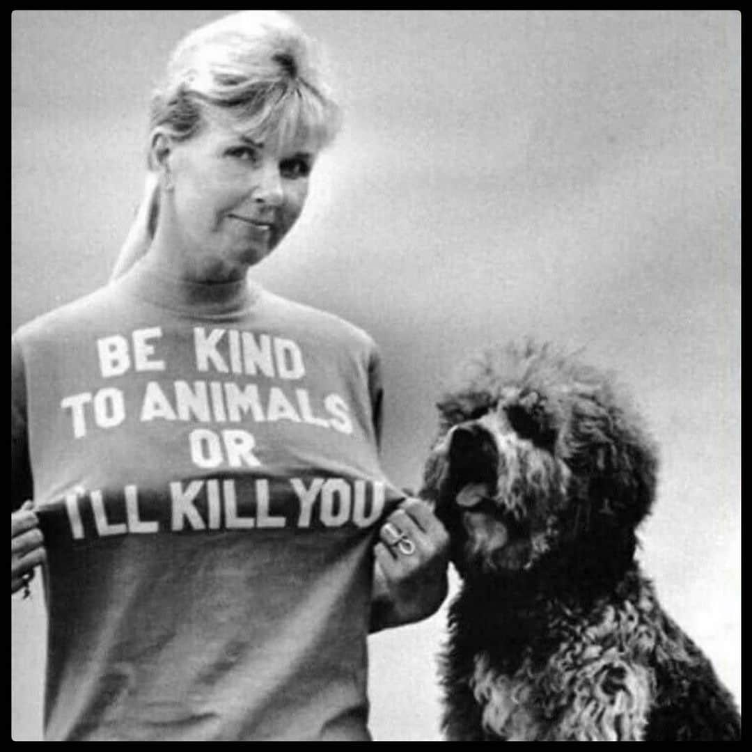 ミシェル・フォーブスさんのインスタグラム写真 - (ミシェル・フォーブスInstagram)「RIP Doris Day 💔  #dorisday #ripdorisday」5月14日 1時39分 - iammichelleforbes