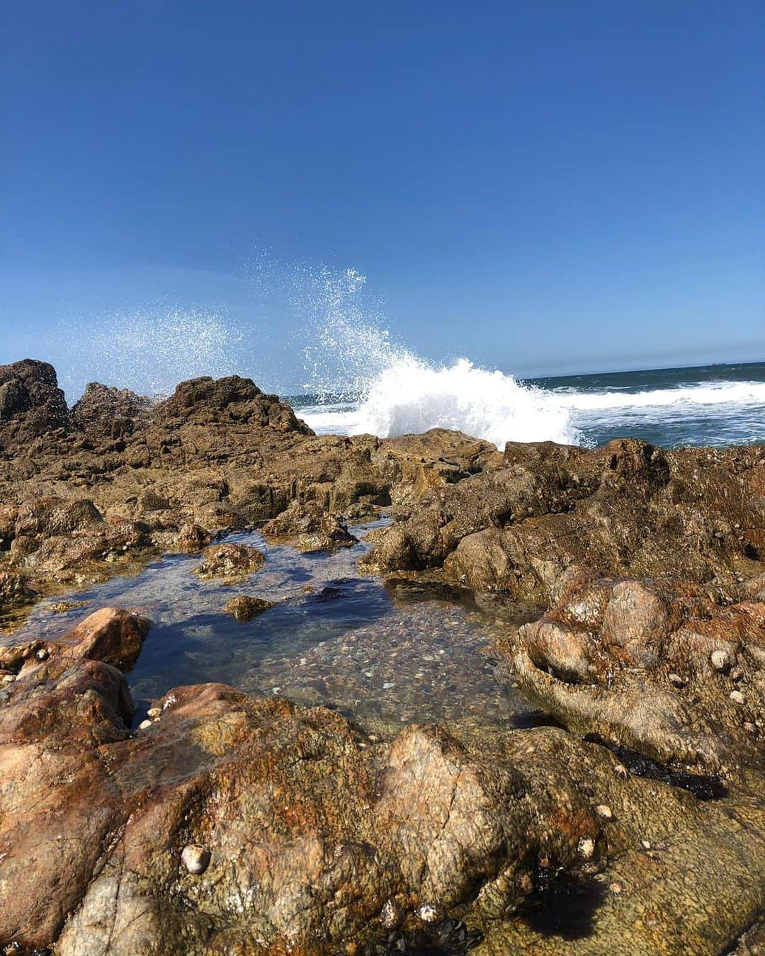 サラ・カルボネロさんのインスタグラム写真 - (サラ・カルボネロInstagram)「Ya noto como van llevándome las olas. Después de una verbena viene la marea y me ha pillado en la cama, hablando con mis penas. Anoche me lió la luna llena . #LaFuga #myhappyplace #tardeslargas #Porto #slowlife」5月14日 3時14分 - saracarbonero