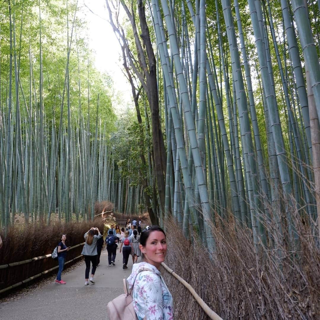 シャルレーヌ・ギニャールさんのインスタグラム写真 - (シャルレーヌ・ギニャールInstagram)「Memories of our first day in Kyoto 🤩🤗 #kyoto #japan #🇯🇵 #vacation #memories #sohappy #beautiful #kinkakuji #bambooforest #arashiyama #monkeys #kimonoforest #ryoanjitemple」5月14日 3時41分 - charleneguignard