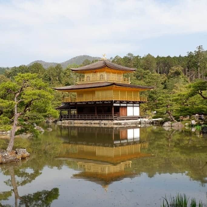 のインスタグラム：「Memories of our first day in Kyoto 🤩🤗 #kyoto #japan #🇯🇵 #vacation #memories #sohappy #beautiful #kinkakuji #bambooforest #arashiyama #monkeys #kimonoforest #ryoanjitemple」