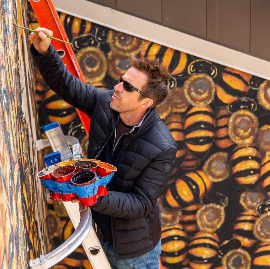 スミソニアン国立動物園さんのインスタグラム写真 - (スミソニアン国立動物園Instagram)「🐝🎨Have you BEEn to the Great Ape House lately? The mural of hand-painted honeybees is part of Matthew Willey's The Good of the Hive initiative, which raises awareness about the importance of pollinators. CHECK IT OUT: s.si.edu/2vVmUPk. (Link in bio.) @thegoodofthehive」5月14日 3時59分 - smithsonianzoo