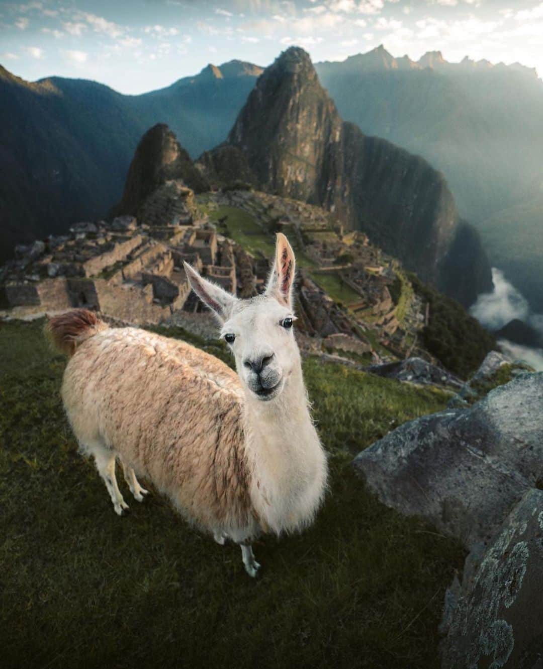 Canon Photographyさんのインスタグラム写真 - (Canon PhotographyInstagram)「Who’s got Machu Picchu on their bucket list?  Photography | @emmett_sparling  Canon 5D Mark IV + 14mm #peru #machupicchu #canon_photos」5月14日 4時18分 - cpcollectives