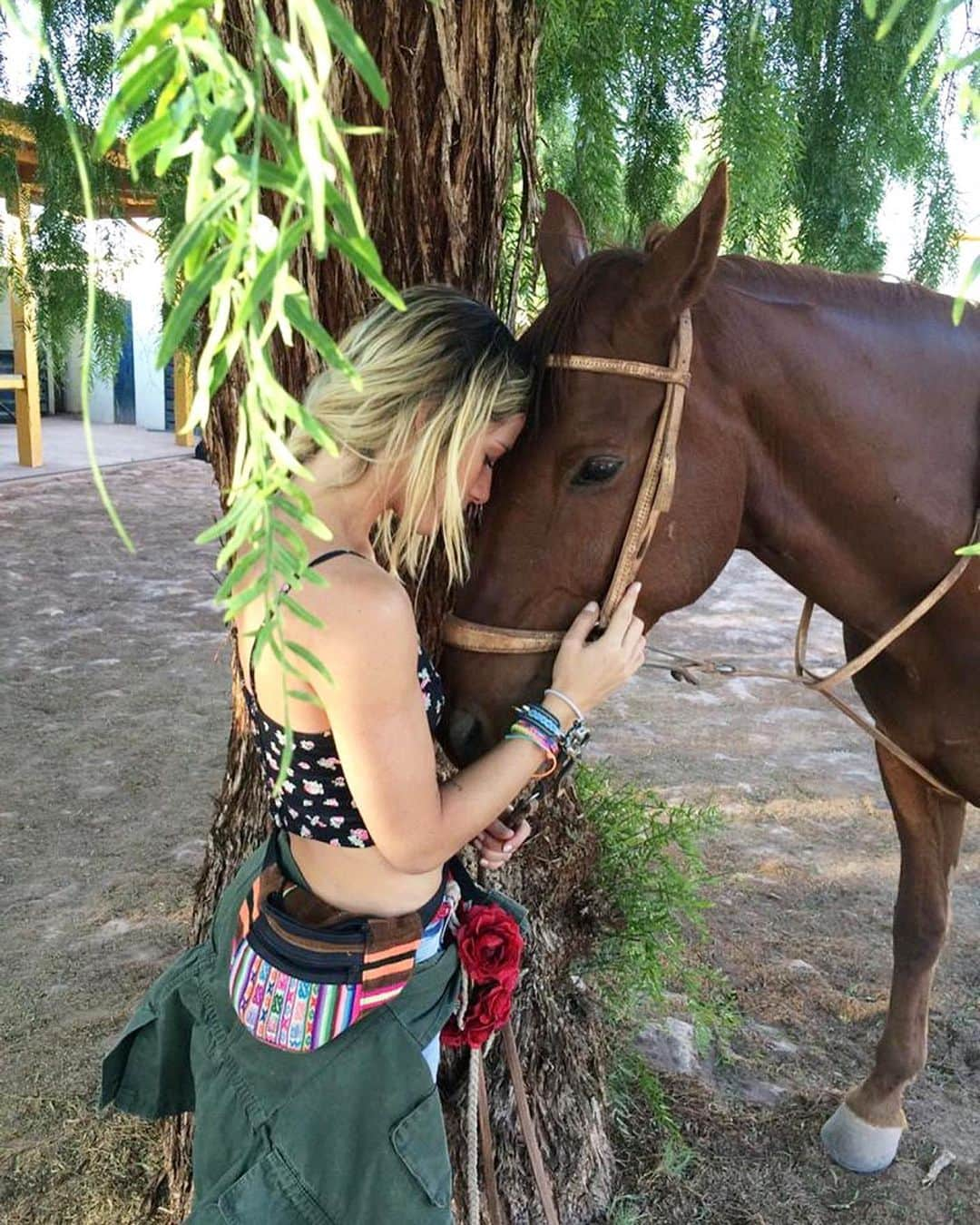 Giovanna Ewbankさんのインスタグラム写真 - (Giovanna EwbankInstagram)「Bateu uma saudade dessa viagem!!! 💖 Quem dera se todo dia a gente tivesse a oportunidade de ficar assim, tão pertinho dos animais...🐴 Essa relação de amor, carinho e respeito pelos bichos nos conecta à natureza, às nossas raizes, nos desperta para a vida! Vamos viajar de novo @brunogagliasso??? 💖 #natureza #amor」5月14日 6時06分 - gioewbank