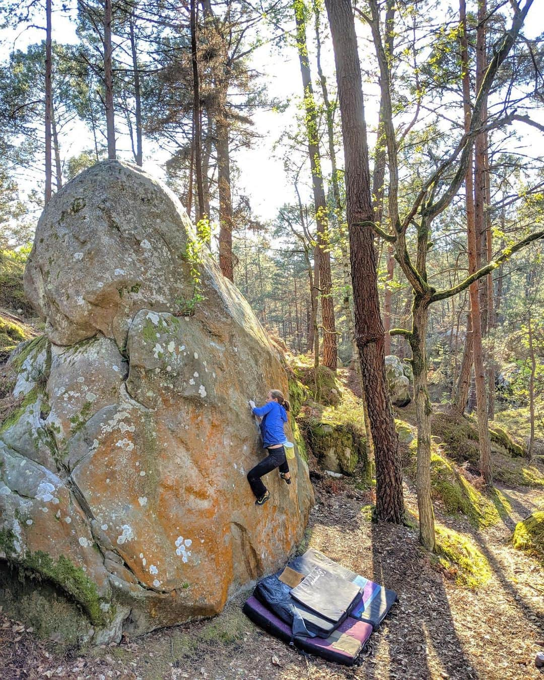 ベス・ロッデンさんのインスタグラム写真 - (ベス・ロッデンInstagram)「Always a treat to climb something first done by another woman. “Instant de Solitude” put up by climbing wizard Catherine Miquel. I certainly have been loving finding these intricate slabs around the forest, perfect for giving my finger a rest and my toes a challenge ☺️❤️ #slabisrad」5月14日 6時33分 - bethrodden