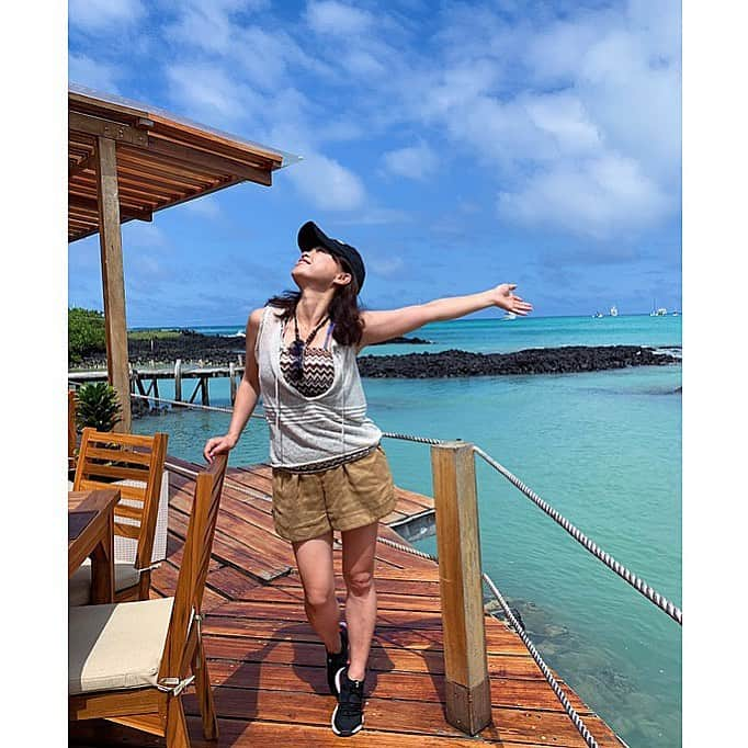 京乃ともみさんのインスタグラム写真 - (京乃ともみInstagram)「Everything is wild and free💙🌴🦜. . . #ガラパゴス諸島 #エクアドル #GalápagosIslands #南米」5月14日 6時27分 - tomomi_kyono