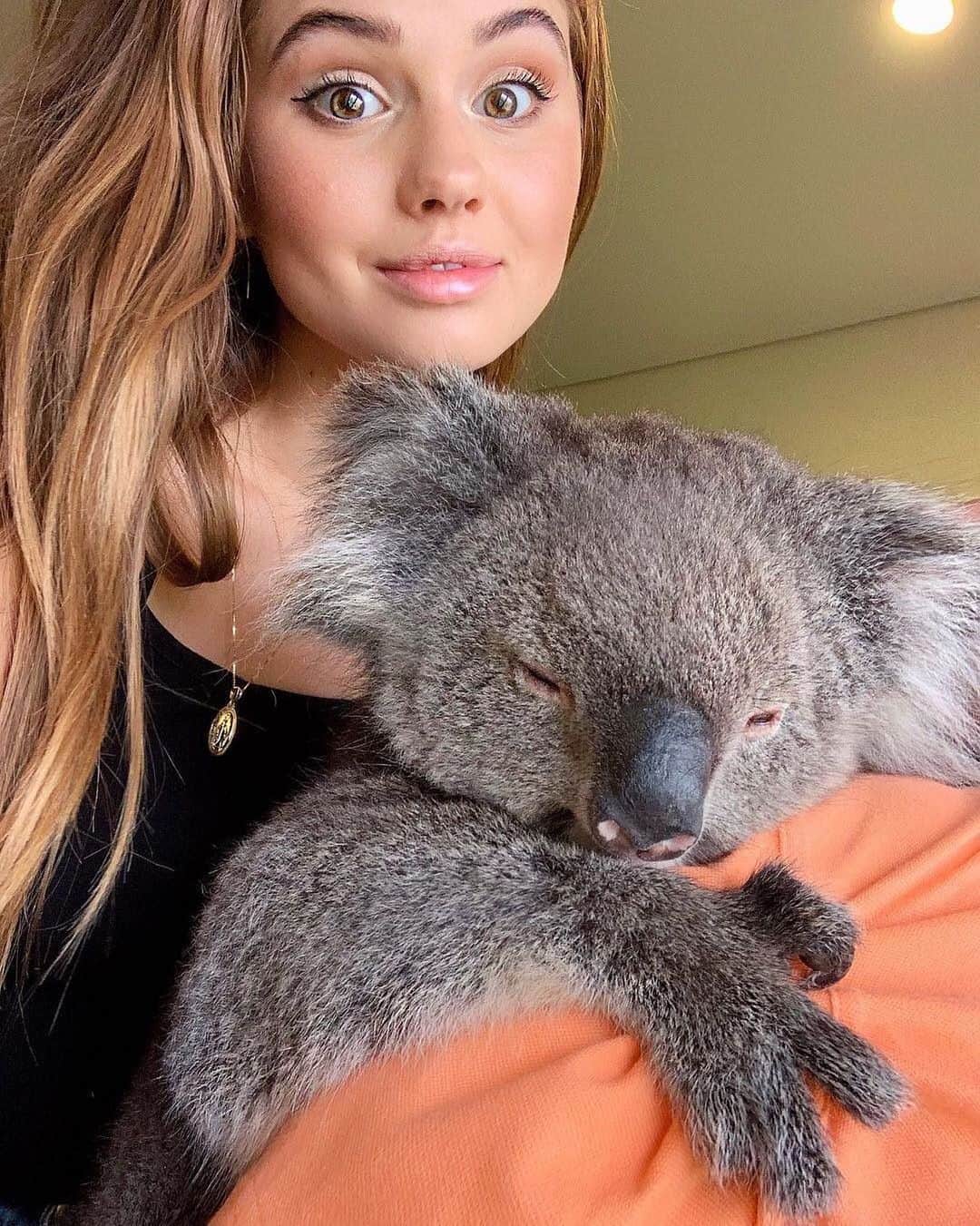 Teen Vogueさんのインスタグラム写真 - (Teen VogueInstagram)「I wish I was this koala because then I could wish @debbyryan a happy birthday in person 😔 I hope you have a koalaty day! 🐨🎉 #regram」5月14日 6時38分 - teenvogue