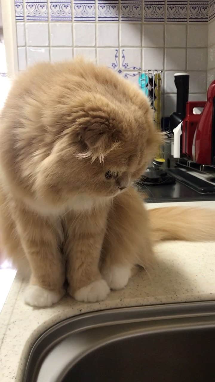 ベルのインスタグラム
