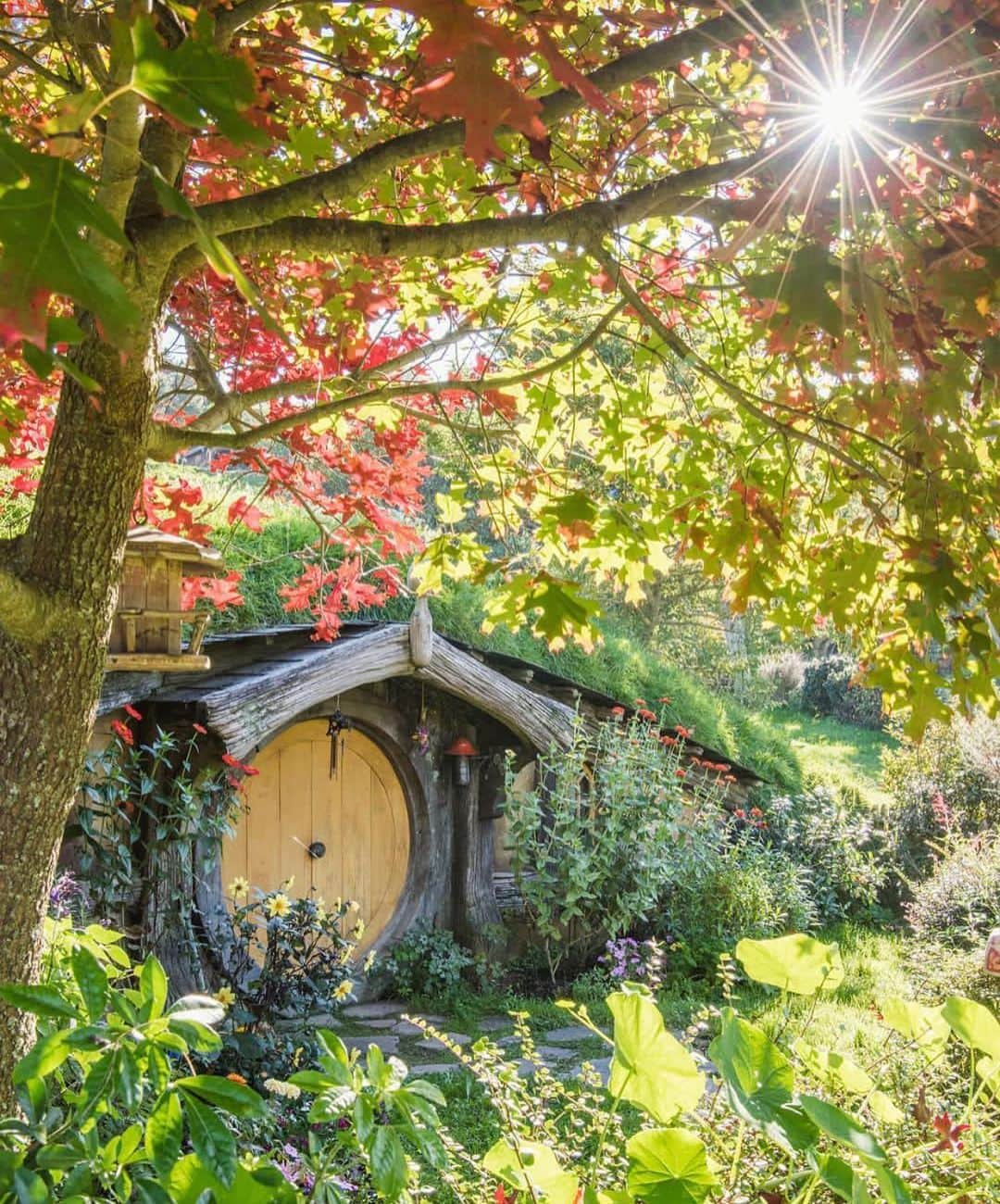 Wonderful Placesさんのインスタグラム写真 - (Wonderful PlacesInstagram)「The Hobbiton - New Zealand ✨💖💖💖💖✨ . Pictures by ✨✨@shaun_jeffers✨✨ #wonderful_places for a feature 💖」5月14日 7時04分 - wonderful_places