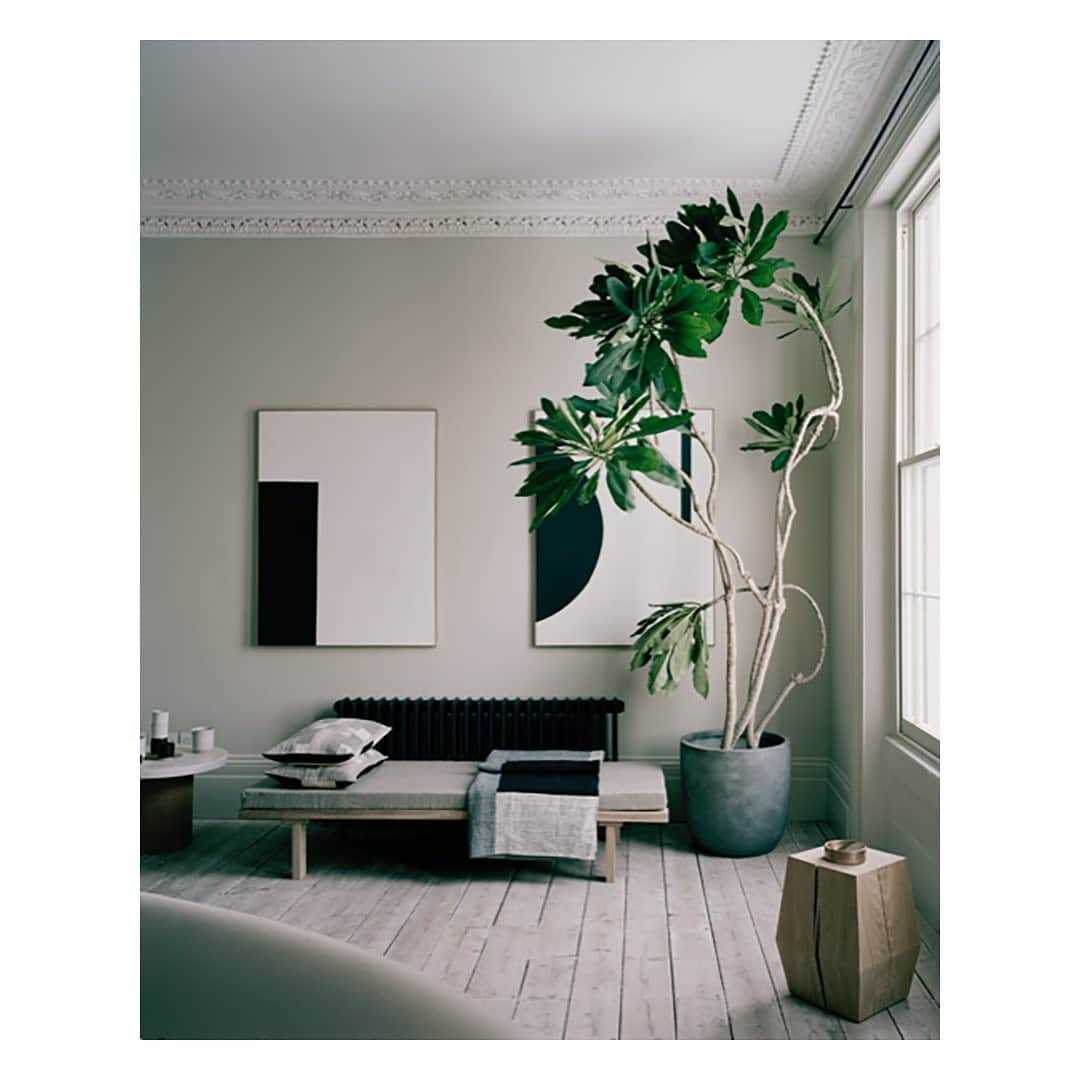The Modern Houseさんのインスタグラム写真 - (The Modern HouseInstagram)「Looking for interior inspiration? Swipe across to view the British interior designers you should be following. Link in our bio for more.  @roseuniacke @houseofgreylondon @studioashby @franhickman @waldoworks @2lgstudio #interiordesigner #britishdesign #homeideas」5月14日 17時58分 - themodernhouse
