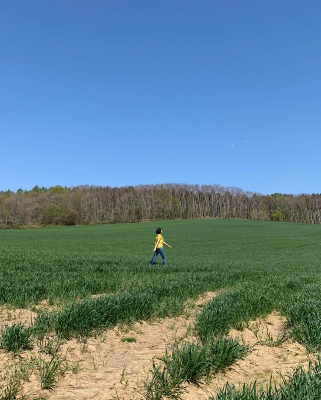 鈴木ちなみさんのインスタグラム写真 - (鈴木ちなみInstagram)「💙💛💚 I was so happy to meet a grower. I listened to his family history and his passion.」5月14日 17時59分 - chinami_suzuki0926