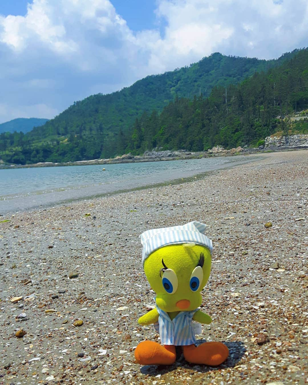 Little Yellow Birdさんのインスタグラム写真 - (Little Yellow BirdInstagram)「Beach day on Geumgap beach, Jindo Island!! #littleyellowbird #tweety #tweetykweelapis #adventures #yellow #bird #southkorea #korea #zuidkorea #jindo #진도 #jindoisland #geumgap #beach #beachday #sunnyweather #bluesky #bluewater #southsea #yellowsea #swimming #sun #travel #traveling #wanderlust #stuffedanimalsofinstagram #plushiesofinstagram」5月14日 16時44分 - tweetykweelapis