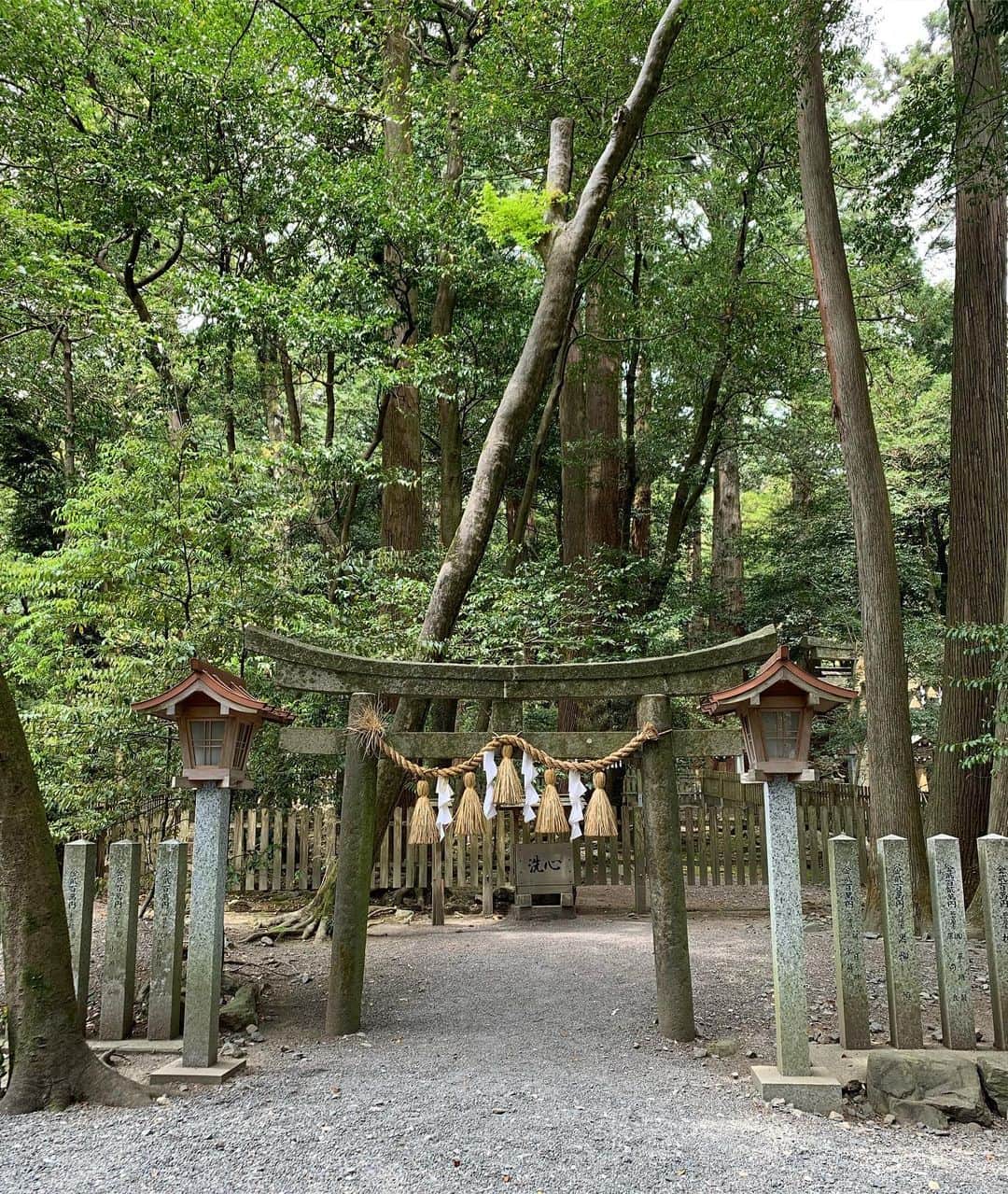 青山有紀のグルメインスタ