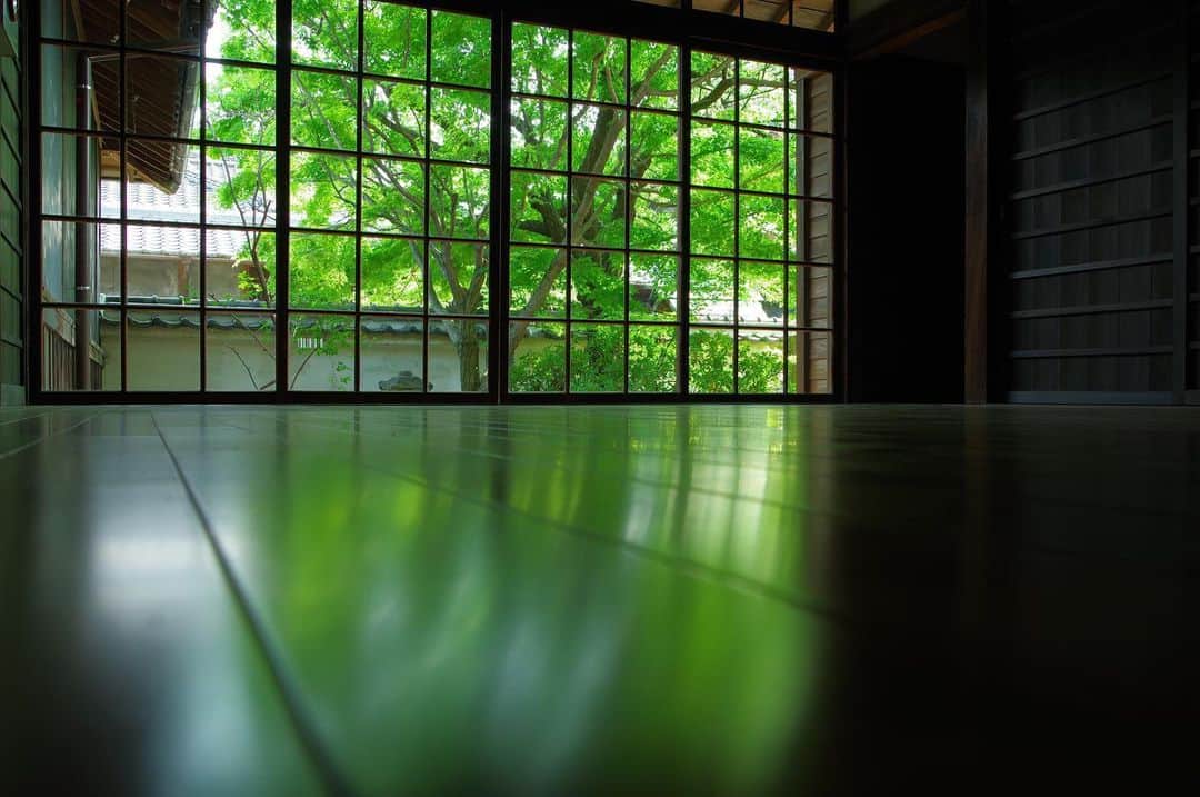 柳川藩主立花邸御花 | Yanagawa Ohanaさんのインスタグラム写真 - (柳川藩主立花邸御花 | Yanagawa OhanaInstagram)「🌿 ・ 新緑の季節ですね。 御花の新緑をちらり。 ・ ・ #柳川藩主立花邸御花#御花 #柳川#福岡#ohana#fukuoka #yanagawa #新緑#新緑の季節 #日本の風景 #freshgreen  #japanesegarden」5月14日 17時50分 - tachibanateiohana