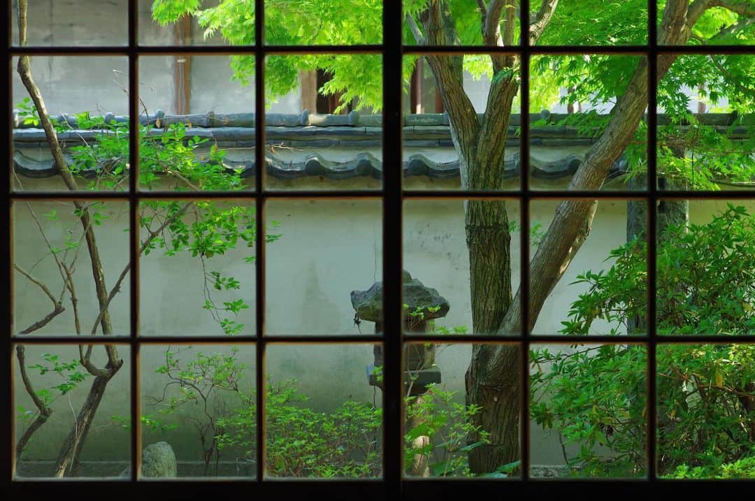 柳川藩主立花邸御花 | Yanagawa Ohanaさんのインスタグラム写真 - (柳川藩主立花邸御花 | Yanagawa OhanaInstagram)「🌿 ・ 新緑の季節ですね。 御花の新緑をちらり。 ・ ・ #柳川藩主立花邸御花#御花 #柳川#福岡#ohana#fukuoka #yanagawa #新緑#新緑の季節 #日本の風景 #freshgreen  #japanesegarden」5月14日 17時50分 - tachibanateiohana