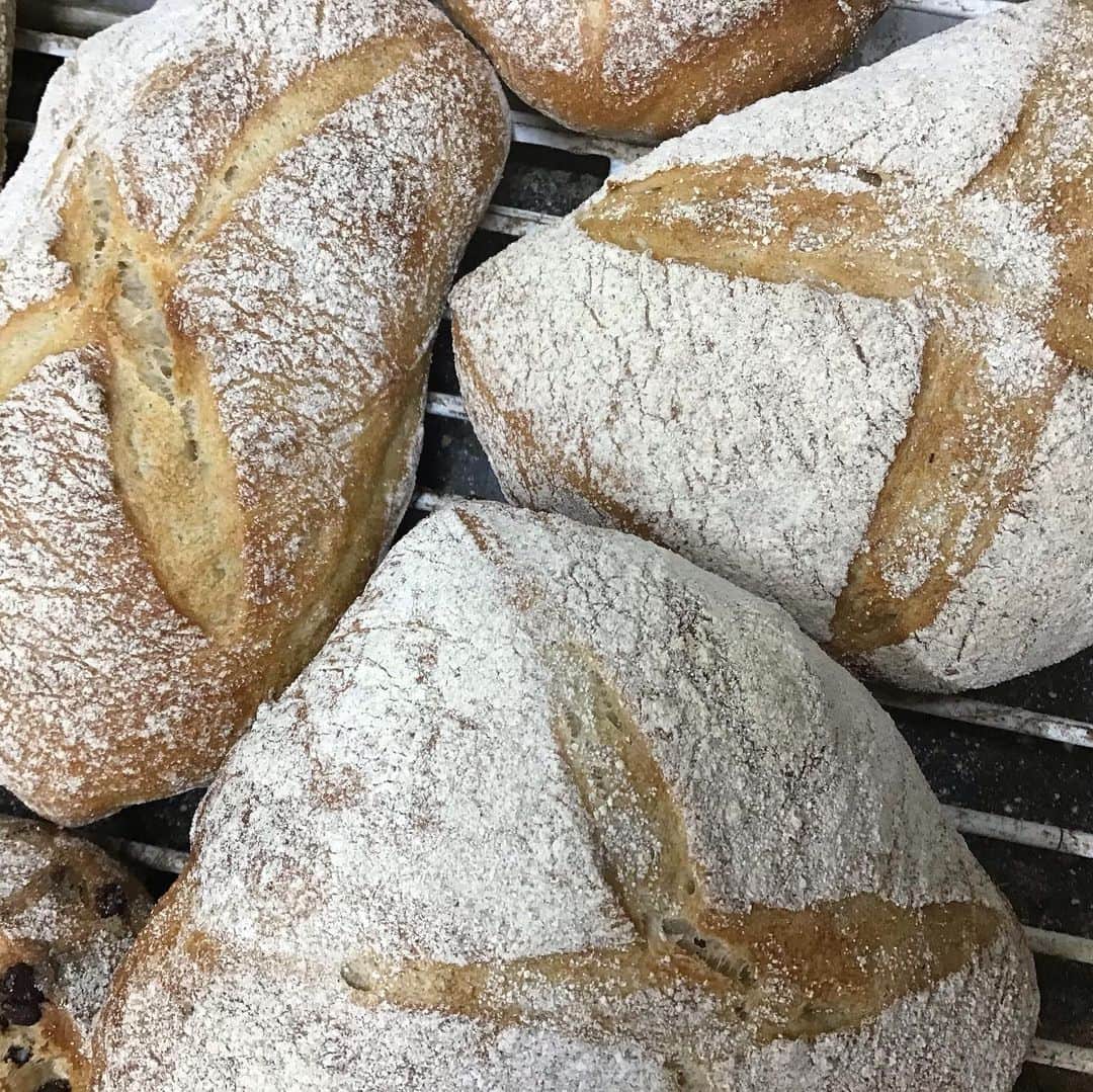 魔女菅原のグルメインスタ