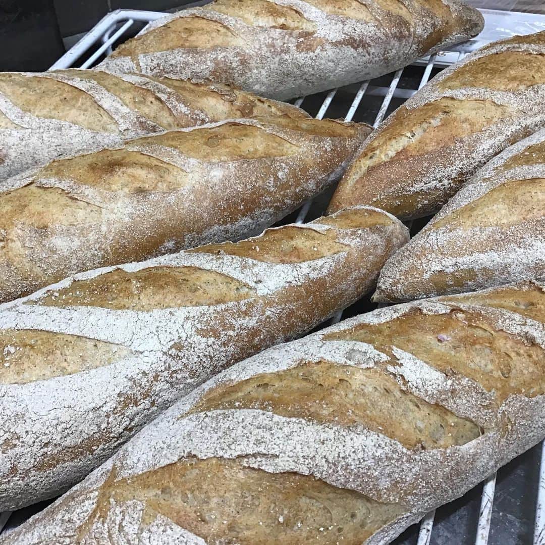 魔女菅原のグルメインスタ