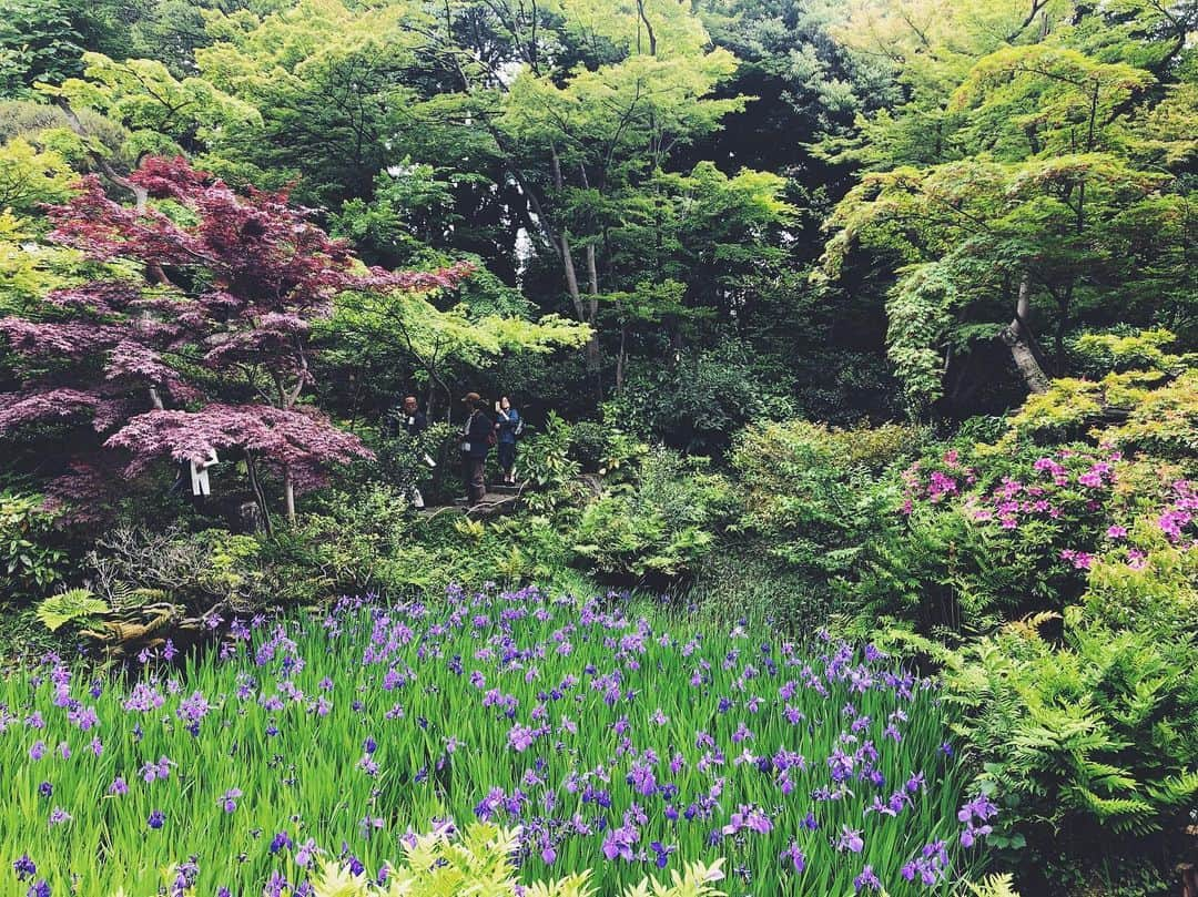 尾形沙耶香のインスタグラム